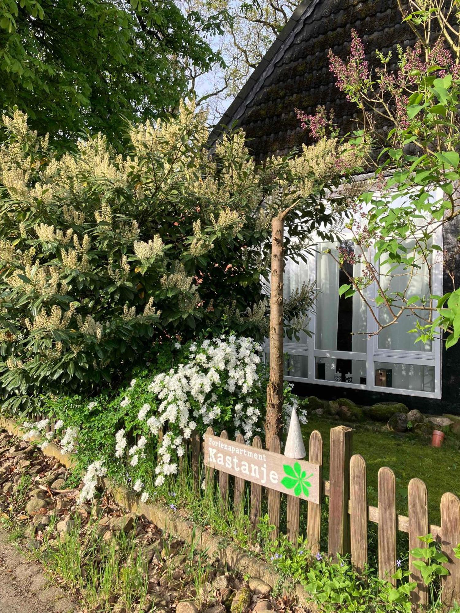 Ferienapartment Kastanje Gross Ippener ภายนอก รูปภาพ